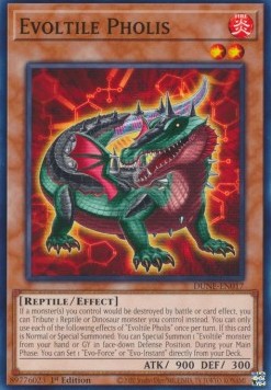 Evotile Pholis (DUNE-EN017)