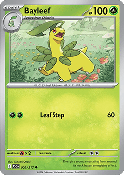 Ascended Heroes 009/217 Bayleef