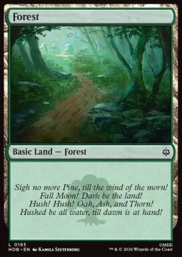 The Hobbit 0193 Forest