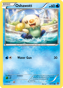 Steam Siege 030/114 Oshawott