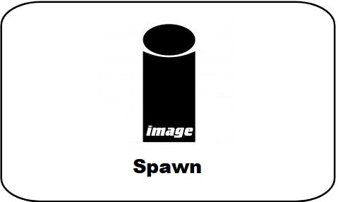Spawn
