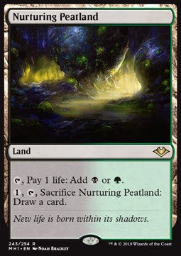 Modern Horizons 243/254 Nurturing Peatland