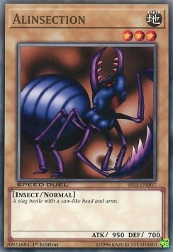 Alinsection (SS03-ENB07)