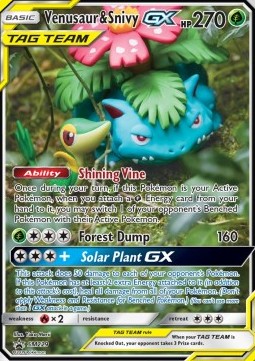 Sun & Moon Promo SM229 Venusaur & Snivy GX