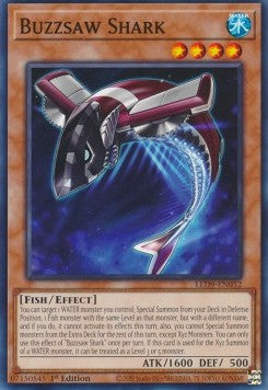 Buzzsaw Shark (LED9-EN052)