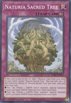Naturia Sacred Tree (SDBT-EN037)