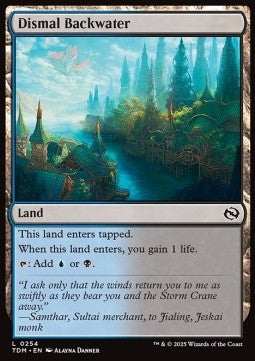 Tarkir Dragonstorm 0254 Dismal Backwater (Foil)