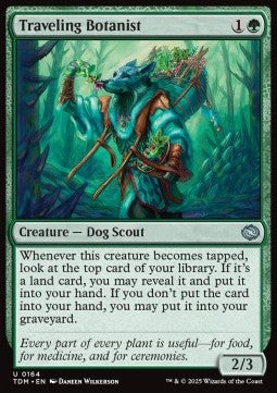 Tarkir Dragonstorm 0164 Traveling Botanist