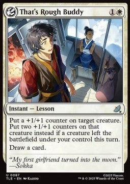 Avatar The Last Airbender Eternal 0087 That's Rough Buddy