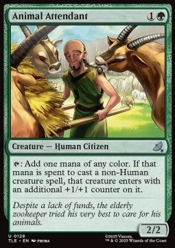Avatar The Last Airbender Eternal 0128 Animal Attendant