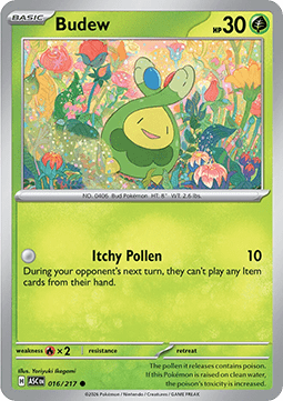 Ascended Heroes 016/217 Budew