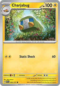 Ascended Heroes 065/217 Charjabug