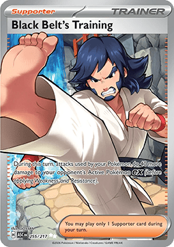 Ascended Heroes 255/217 Black Belt's Training