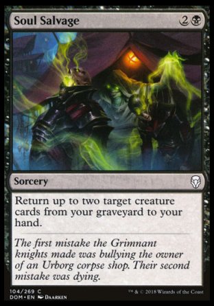 Dominaria 104/269 Soul Salvage