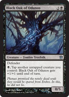 Born of the Gods 062/165 Black Oak of Odunos
