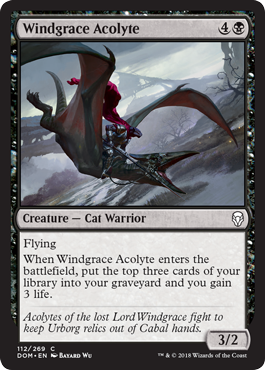 Dominaria 112/269 Windgrace Acolyte