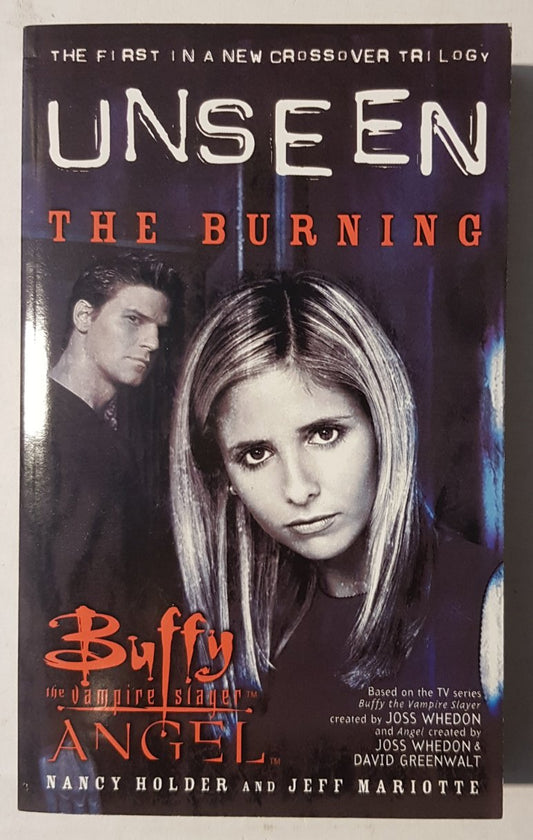 Buffy the Vampire Slayer Angel Unseen The Burning