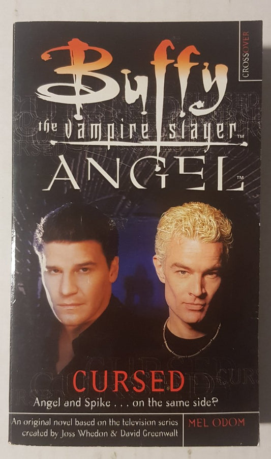 Buffy the Vampire Slayer Angel Cursed