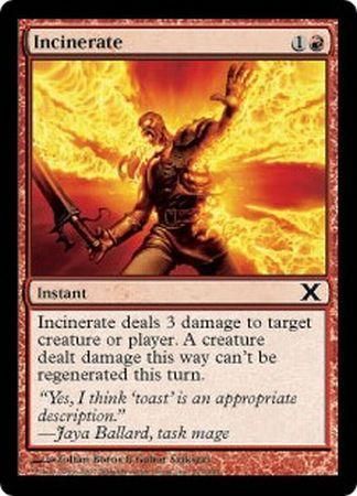 Tenth Edition 213/383 Incinerate
