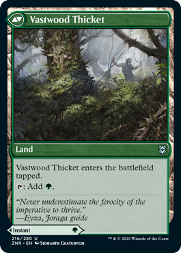 Zendikar Rising 216/280 Vastwood Fortification//Vastwood Thicket
