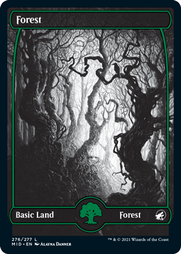 Innistrad: Midnight Hunt 276/277 Forest