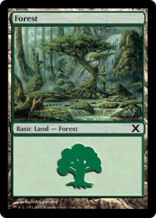 Tenth Edition 382/383 Forest