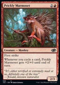 Jump-start 2022 580 Prickly Marmoset